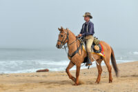 Beach Buds Army Spc. Zachary Carroll rides Comanche at Salinas River State Beach in Moss Landing, Calif., May 13, 2023. Comanche is named after the sole-surviving horse from the Battle of Little Bighorn in 1876.